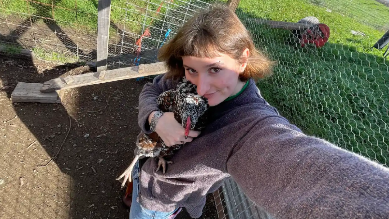 Young person smiling, holding black-and-white chicken by chain-link fence