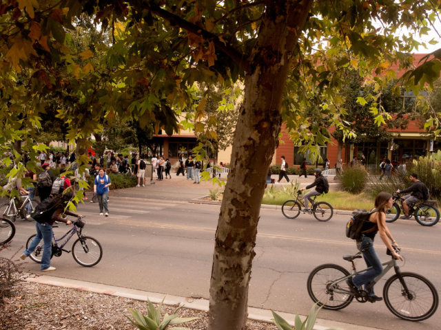 Cyclists riding on a tree-lined street with autumn foliage
