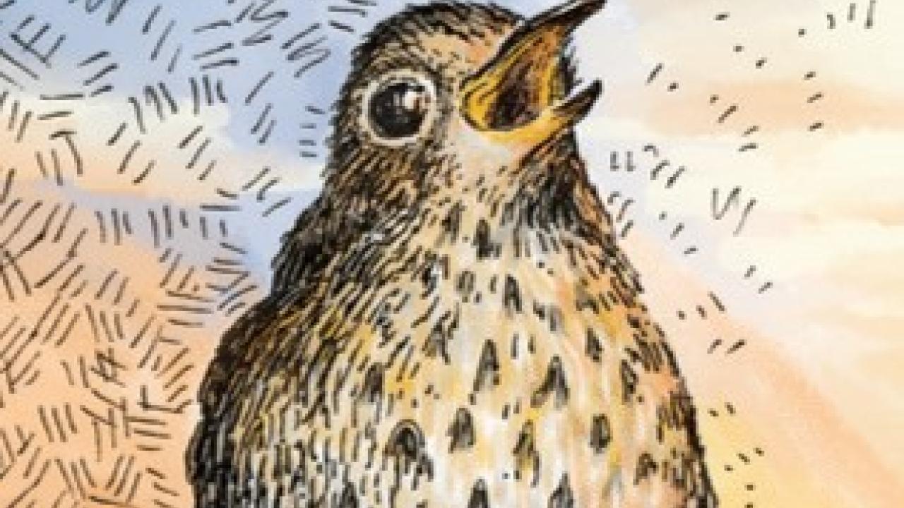 A Drawing of a bird at sunrise