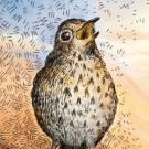 A Drawing of a bird at sunrise